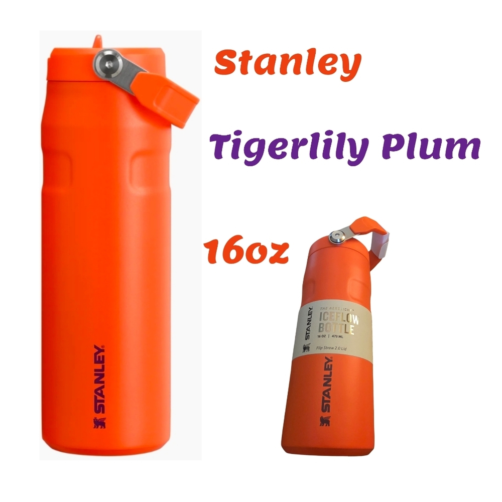 Stanley IceFlow Bottle w Flip Straw Lid 16oz NEW Tigerlily Plum